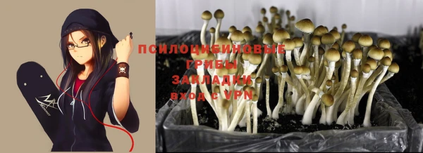 PSILOCYBIN Волоколамск