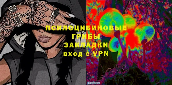 стафф Верхний Тагил